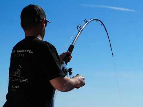 Journée pêche au thon — pêche à Saint-Jean-de-Luz
