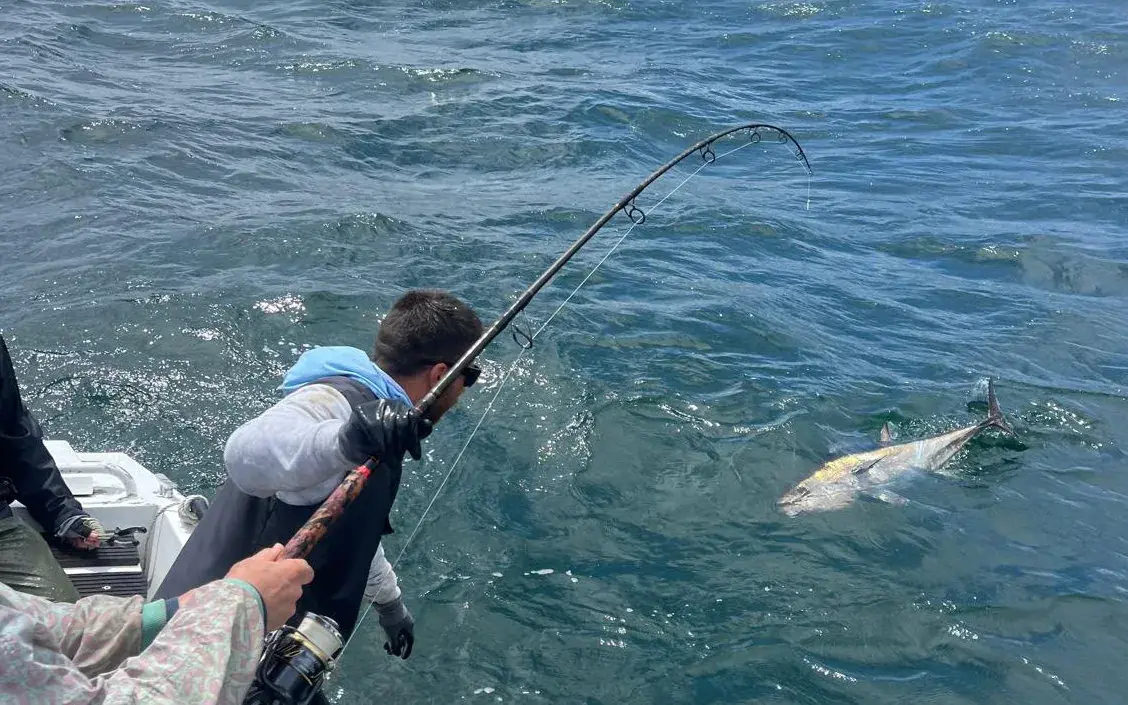 Journée pêche au thon — pêche à Capbreton